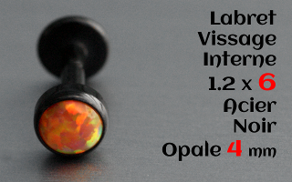 Labret acier Noir 1.2 x 6mm - vissage interne - Opale 4 mm