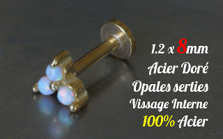 Labret 1.2 x 8 Acier Dore - vissage interne - opales serties - 100% acier