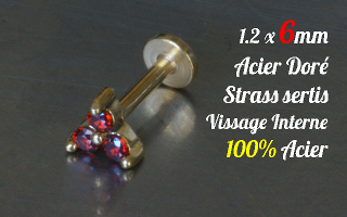 Labret 1.2 x 6 Acier Dore - vissage interne - strass sertis - 100% acier