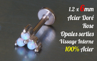 Labret 1.2 x 6 Acier Dore Rose - vissage interne - opales series - 100% acier