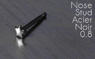 Nose studs Acier Noir 0.6