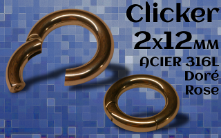 Clicker Acier doré Rose 2x12