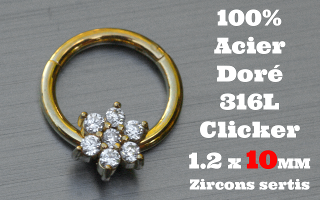 Clicker acier anodise Dore 1.2 x 10 - 100 % Acier - zircon sertis