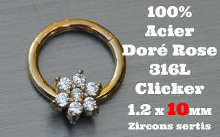 Clicker acier anodise Dore Rose 1.2 x 10 - 100 % Acier - zircon sertis