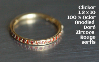 Clicker 1.2 x 10 Acier Doré - zircons rouges sertis