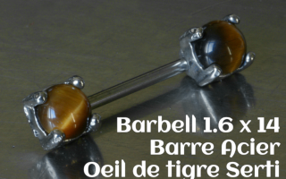 Bijou Téton - barre acier 1.6 x 14 - Oeil de tigre serti