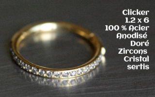 Clicker 1.2 x 6 Acier Doré - zircon cristal serti