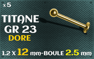 Labret 1.2 x 12 mm - boule 2.5 mm - titaneg grade 23 dore