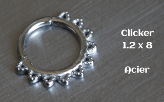 clicker acier 1.2 x 8 Acier