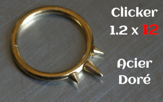 clicker acier 1.2 x 12 Acier doré