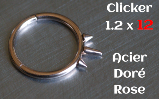 clicker acier 1.2 x 12 Acier Dore Rose