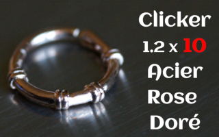 clicker acier 1.2 x 10 Acier dore rose