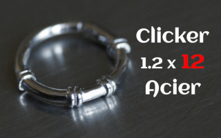 clicker acier 1.2 x 12 Acier