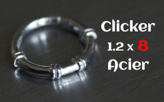 clicker acier 1.2 x 8 Acier