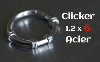 clicker acier 1.2 x 6 Acier