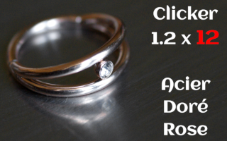 clicker acier 1.2 x 12 Acier dore rose -zircon cristal