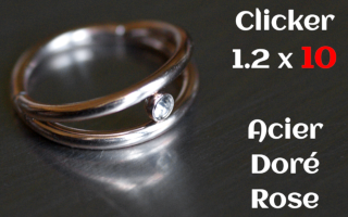 clicker acier 1.2 x 10 Acier dore rose -zircon cristal