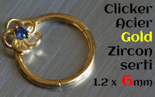 clicker 1.2 x 6 Acier GOLD - Zircon serti - fleur