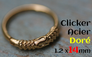 clicker 1.2 x 14 Acier GOLD