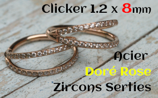 Clicker acier Dore Rose 1.2 x 8 - zircons sertis