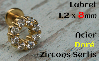 labret 1.2 x 8 acier Dore zircon sertis