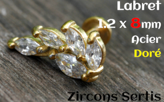 labret 1.2 x 8 - Acier dore - zircon sertis