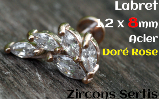 labret 1.2 x 8 - Acier dore rose - zircon sertis