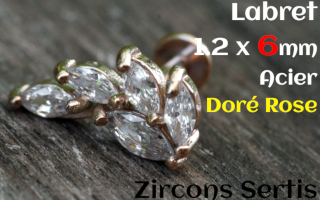 labret 1.2 x 6 - Acier dore rose - zircon sertis