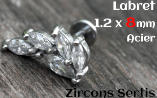 labret 1.2 x 8 - Acier - zircon sertis