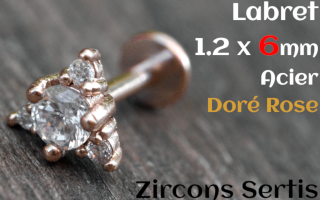 labret 1.2 x 6 - Acier dore rose - zircon sertis