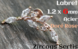 labret 1.2 x 6 - Acier dore rose - zircon sertis