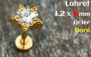 labret 1.2 x 6 - Acier dore - etoile