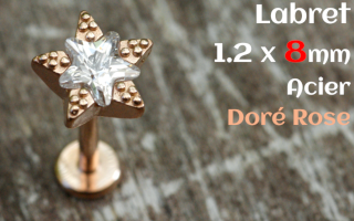 labret 1.2 x 8 - Acier dore rose - etoile