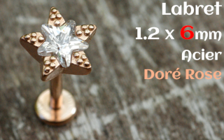 labret 1.2 x 6 - Acier dore rose - etoile