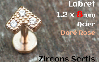 labret 1.2 x 8 - Acier dore rose - zircon sertis