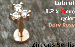 labret 1.2 x 8 - Acier dore rose - zircon sertis