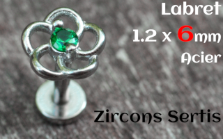 labret 1.2 x 6 - Acier - zircon sertis- fleur