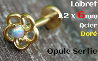 labret 1.2 x 6 - Acier dore - opale sertie- fleur