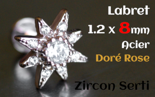 labret 1.2 x 8 Acier Dore Rose- zircon serti