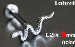 Labret 1.2 x 8 Acier