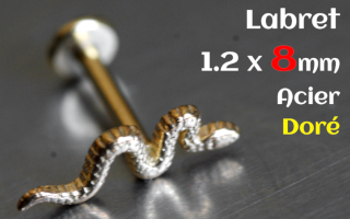 Labret 1.2 x 8 Acier dore - serpent