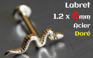 Labret 1.2 x 6 Acier dore - serpent