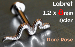Labret 1.2 x 8 Acier dore Rose