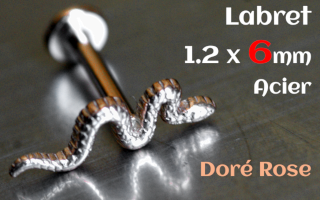 Labret 1.2 x 6 Acier dore