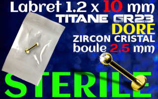 Lbaret titane GOLD 1.2 x 10 - Zircon serti 2.5 mm