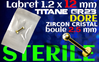 Lbaret titane GOLD 1.2 x 12 - Zircon serti 2.5 mm
