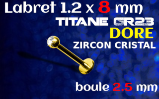 Lbaret titane GOLD 1.2 x 8 - Zircon serti 2.5 mm