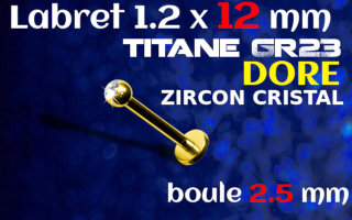 Lbaret titane GOLD 1.2 x 12 - Zircon serti 2.5 mm
