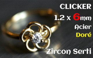 Clicker acier 1.2 x 6 Dore - zircon serti - fleur