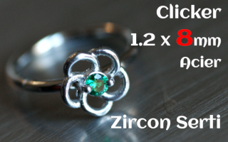 Clicker acier 1.2 x 8 - zircon serti - fleur